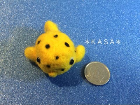 羊毛フェルト　ミナミハコフグ幼魚