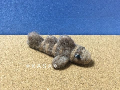 羊毛フェルト　ネコザメ