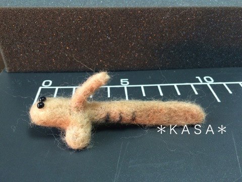 羊毛フェルト トカゲハゼ