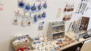 アクアリウムパラダイス2企画展展示ディスプレイのようす