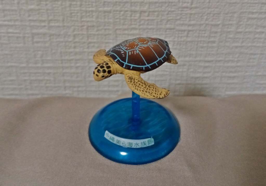 カメ フィギュア