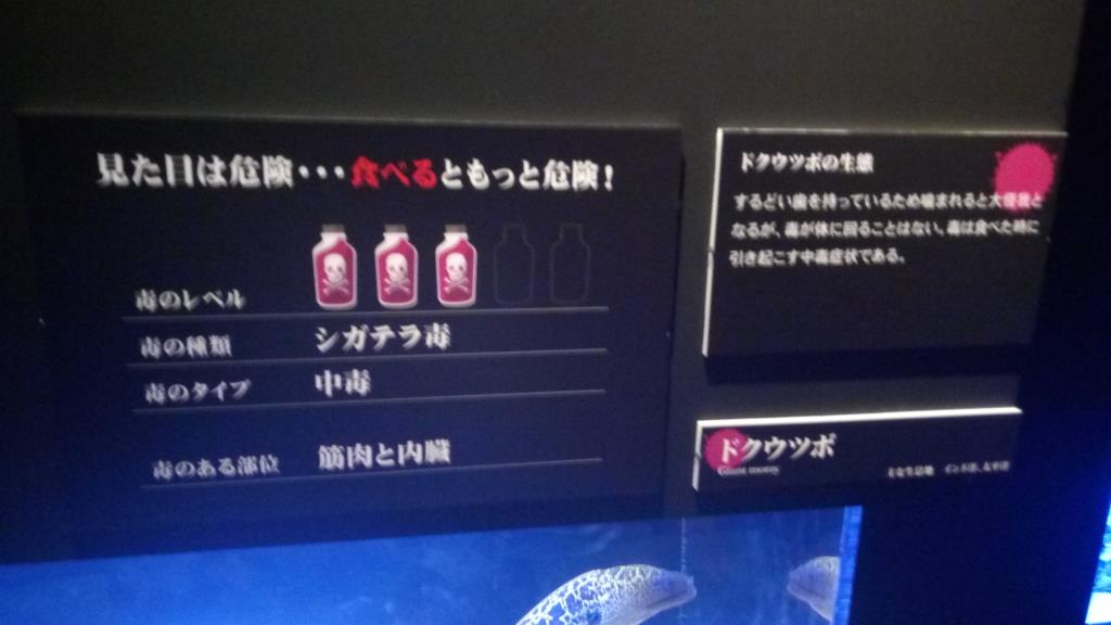 もうどく展 ドクウツボ