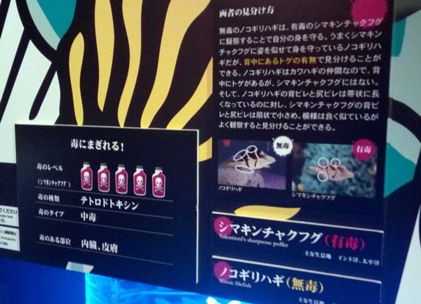 もうどく展