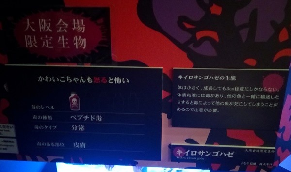 もうどく展 キイロサンゴハゼ