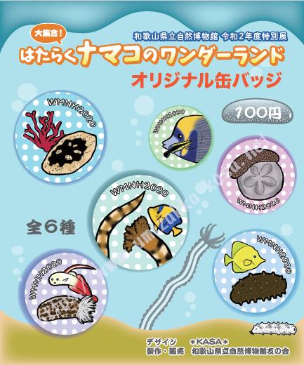 和歌山県立自然博物館『はたらくナマコのワンダーランド』缶バッチデザイン