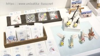 KASAハゼAQUA企画展展示の様子