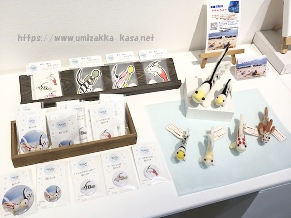 KASAハゼAQUA企画展展示の様子
