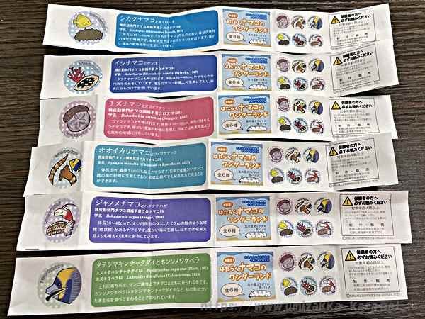 【はたらくナマコのワンダーランド】KASA3