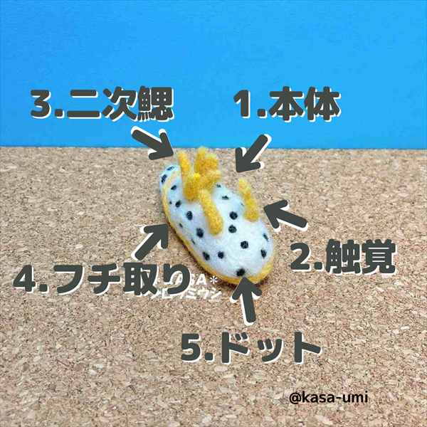 KASAオーダーウミウシ (5)