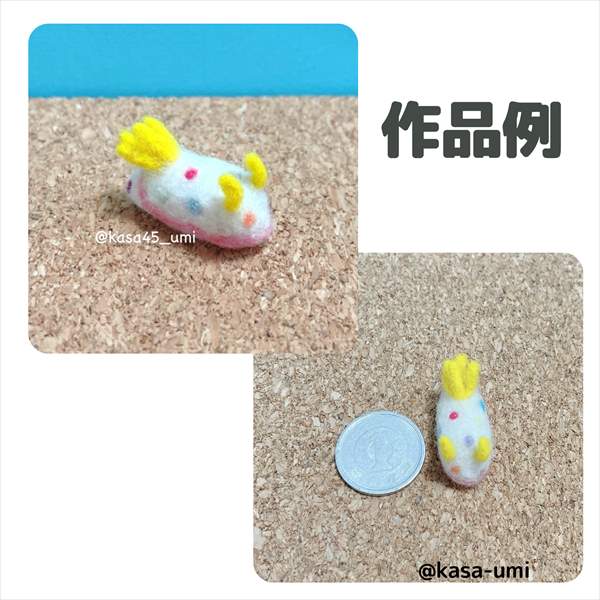 KASAオーダーウミウシ (6)