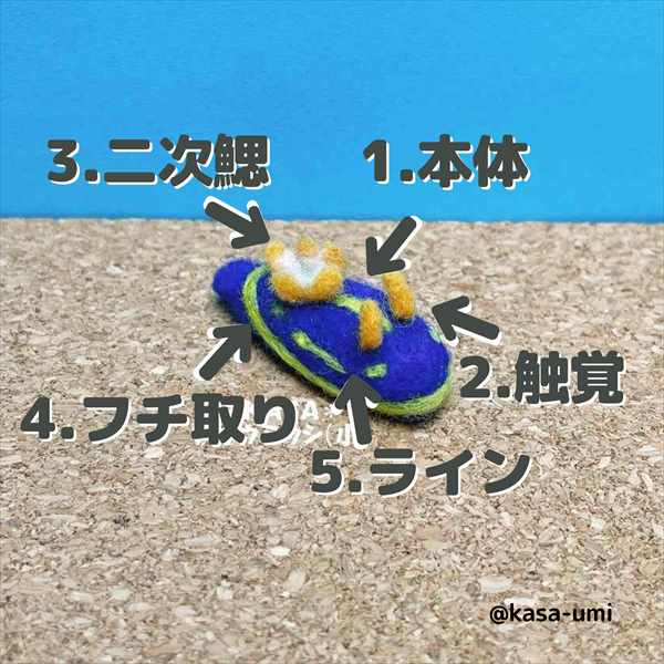 KASAオーダーウミウシ (8)