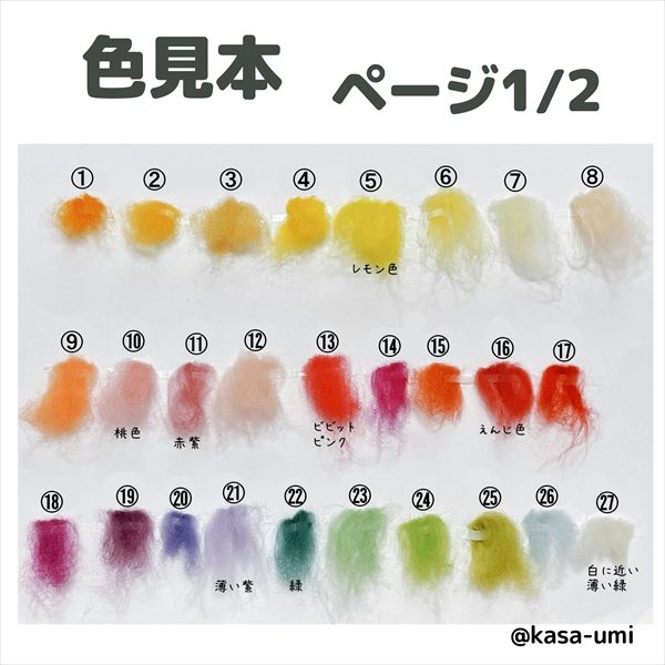 KASAオーダーウミウシ羊毛カラー見本 (1)