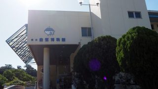 和歌山自然博物館 (1)