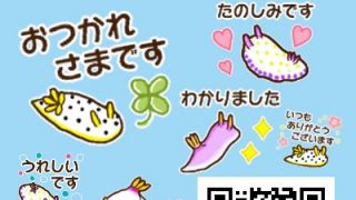 ウミウシの敬語・丁寧語スタンプ宣伝用