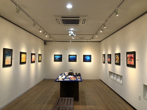 和歌山水中写真展 (6)